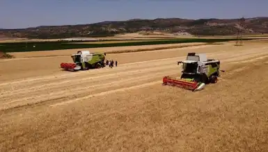 Yerel Tarım Ürünlerinde Fiyat Artışı ve Ekonomiye Etkisi