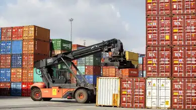 Doğu Karadeniz'den TDT'ye 32 Milyon Dolarlık İhracat