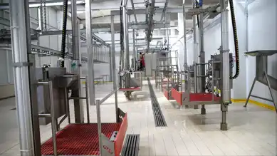 Kesimhanelere Kamera Zorunluluğu Geliyor