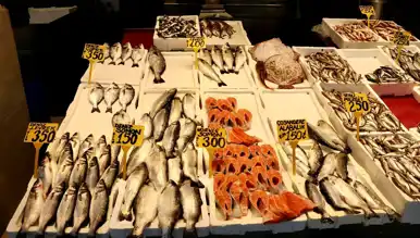Ortahisar'da Mezgit-İstavrit 250 TL!