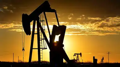 Petrol Fiyatları 2024'te Düştü